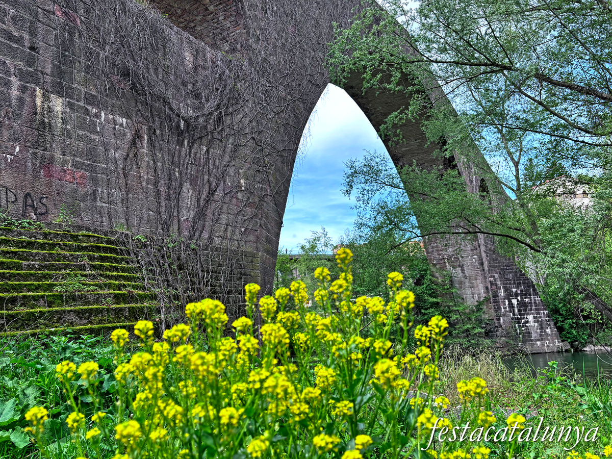 Sant Joan de les Abadesses - Pont Vell 