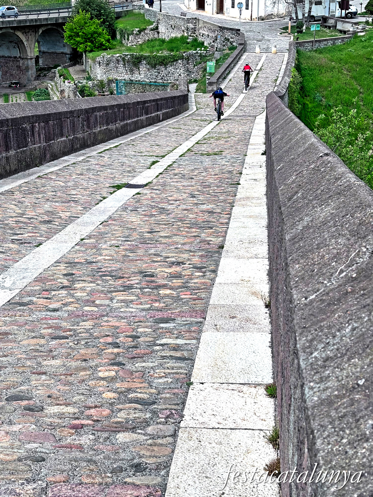 Sant Joan de les Abadesses - Pont Vell 
