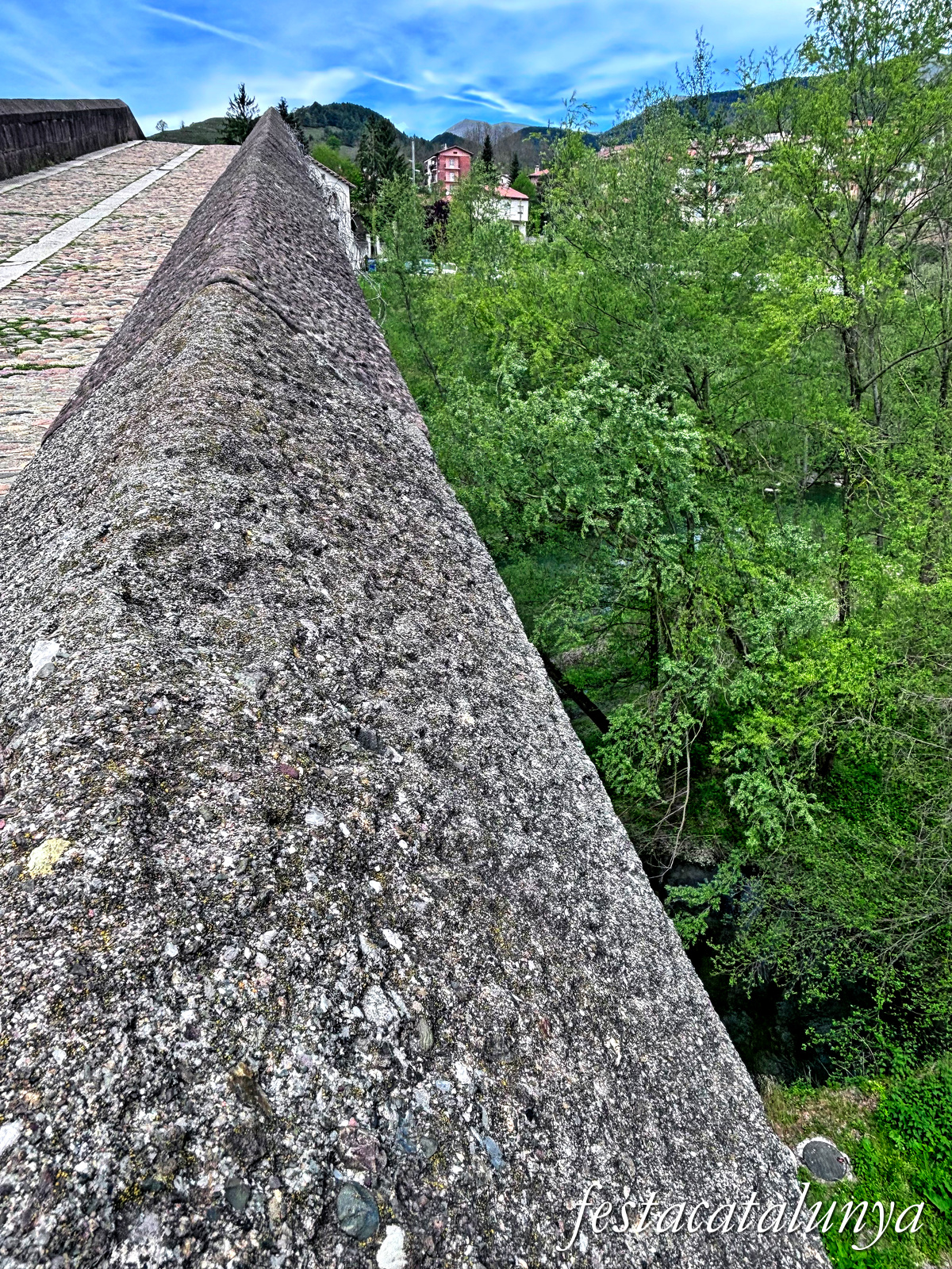 Sant Joan de les Abadesses - Pont Vell
