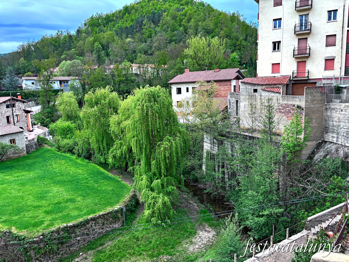 Sant Joan de les Abadesses - Riera d'Arçamala