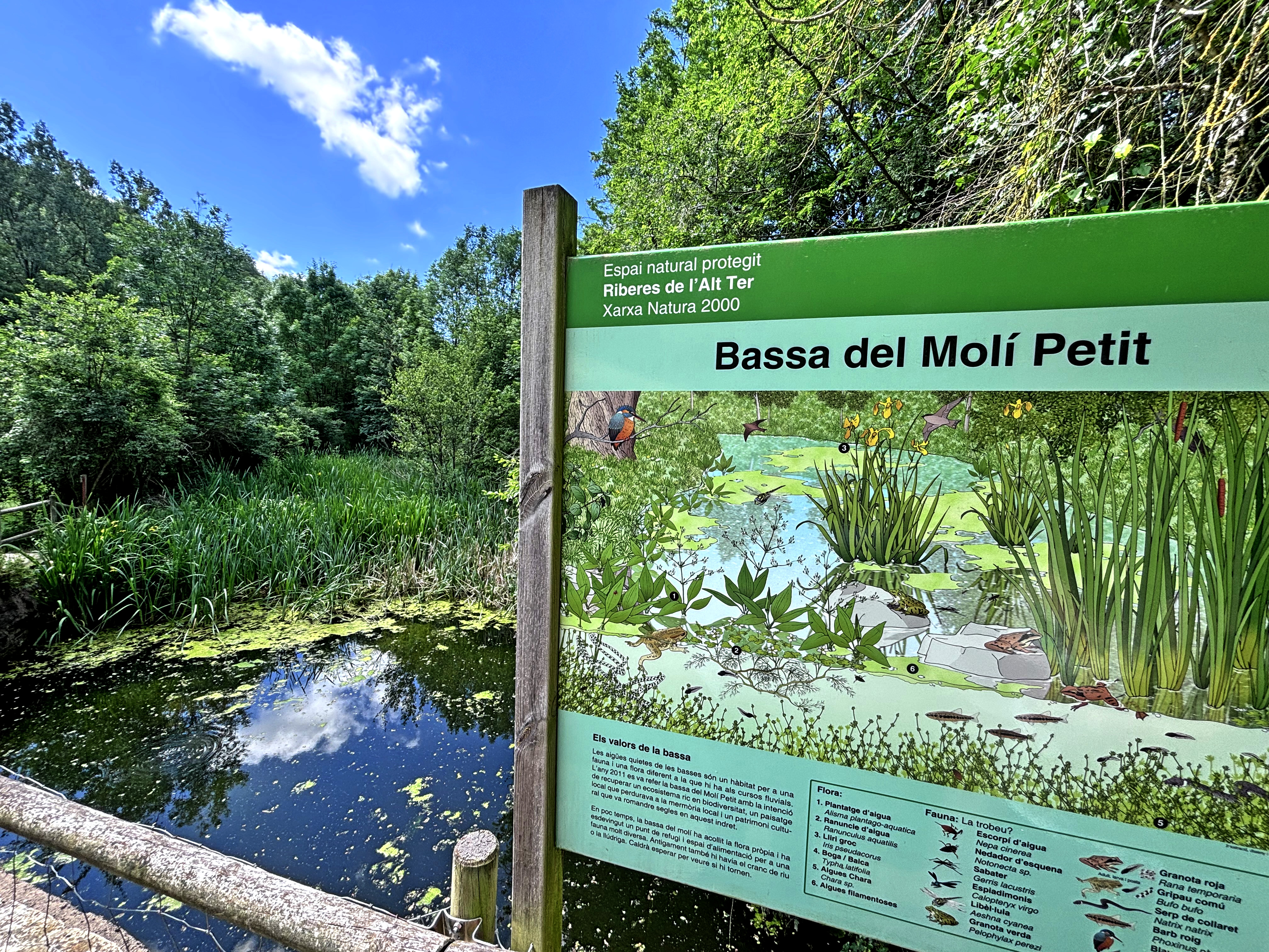 Sant Joan de les Abadesses - Molí Petit