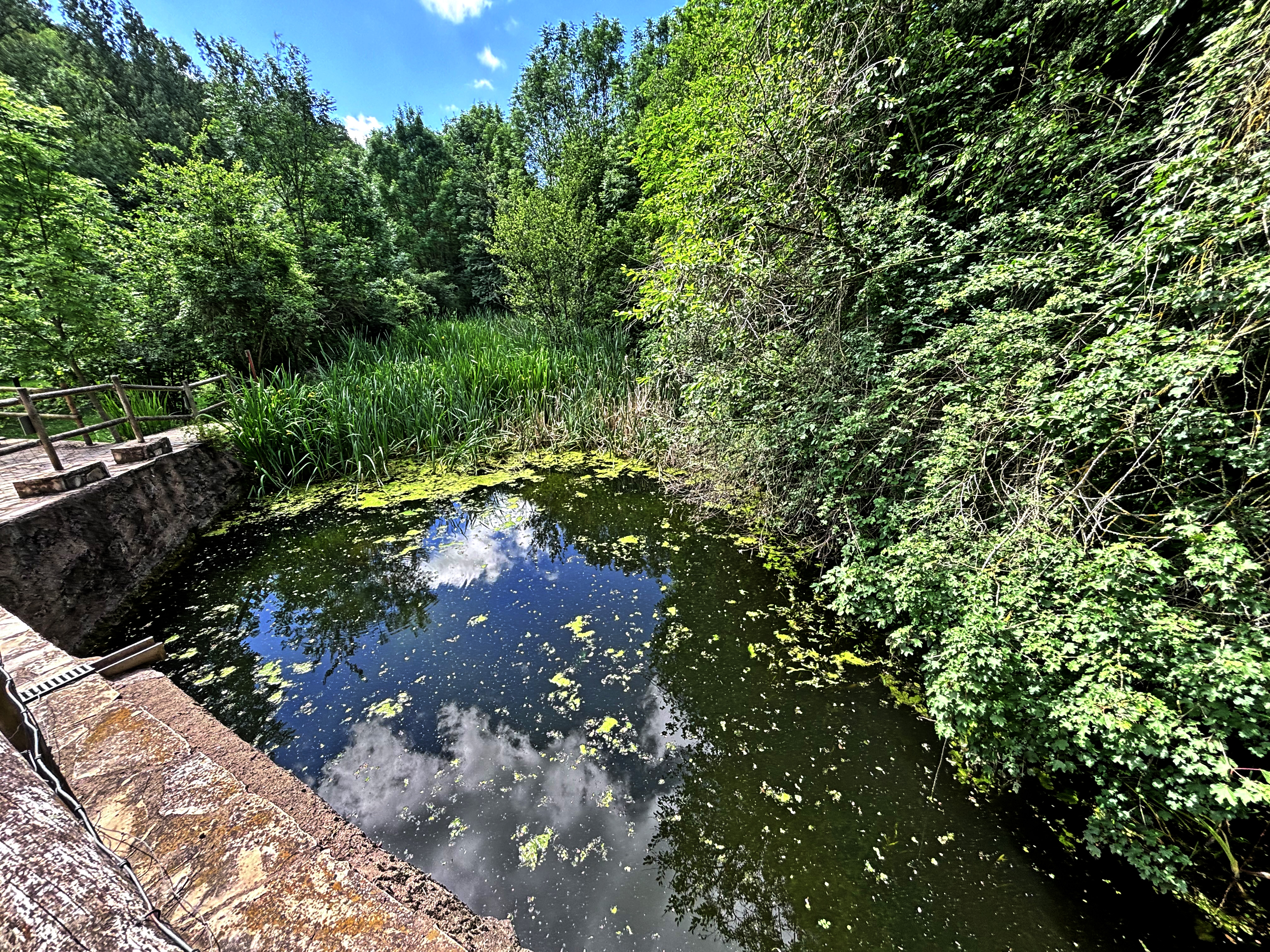 Sant Joan de les Abadesses - Molí Petit 