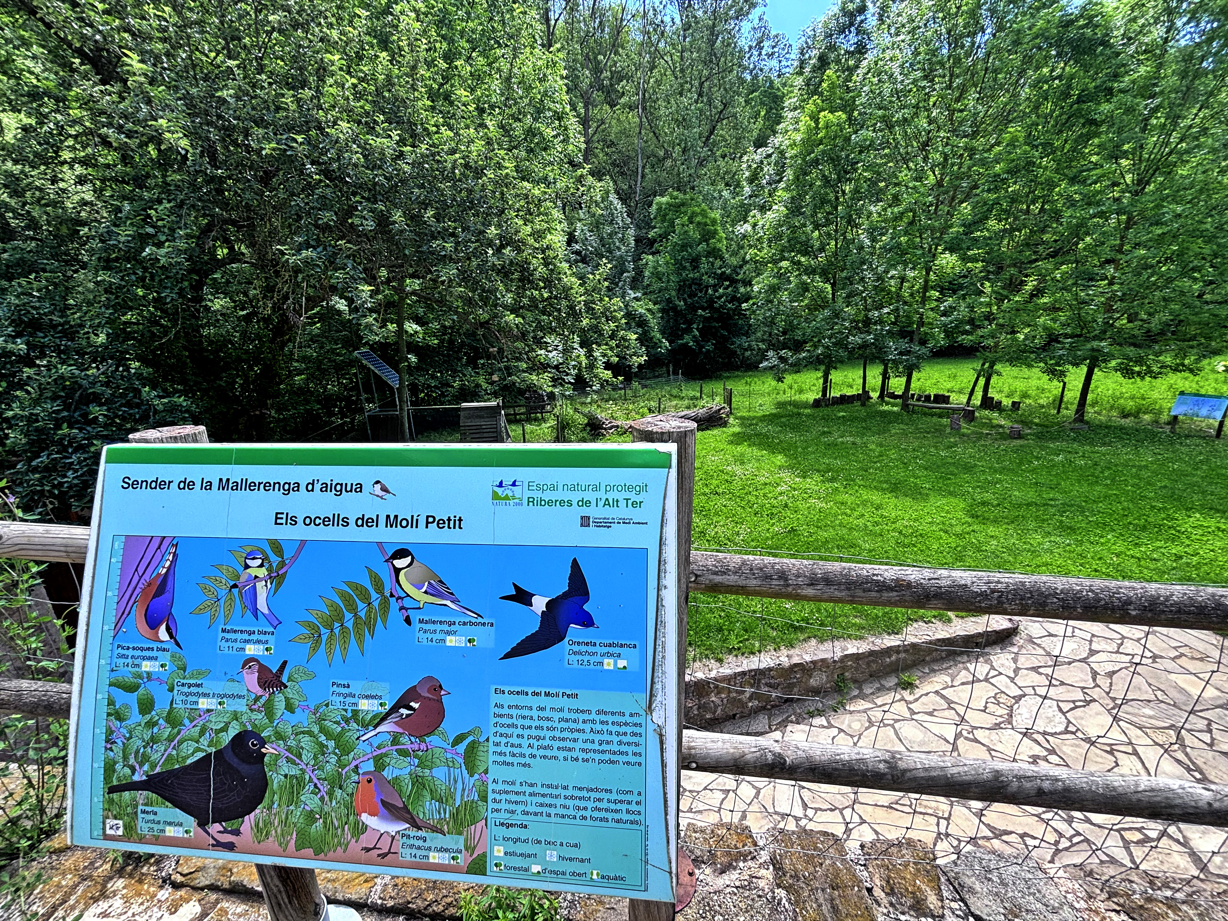 Sant Joan de les Abadesses - Molí Petit