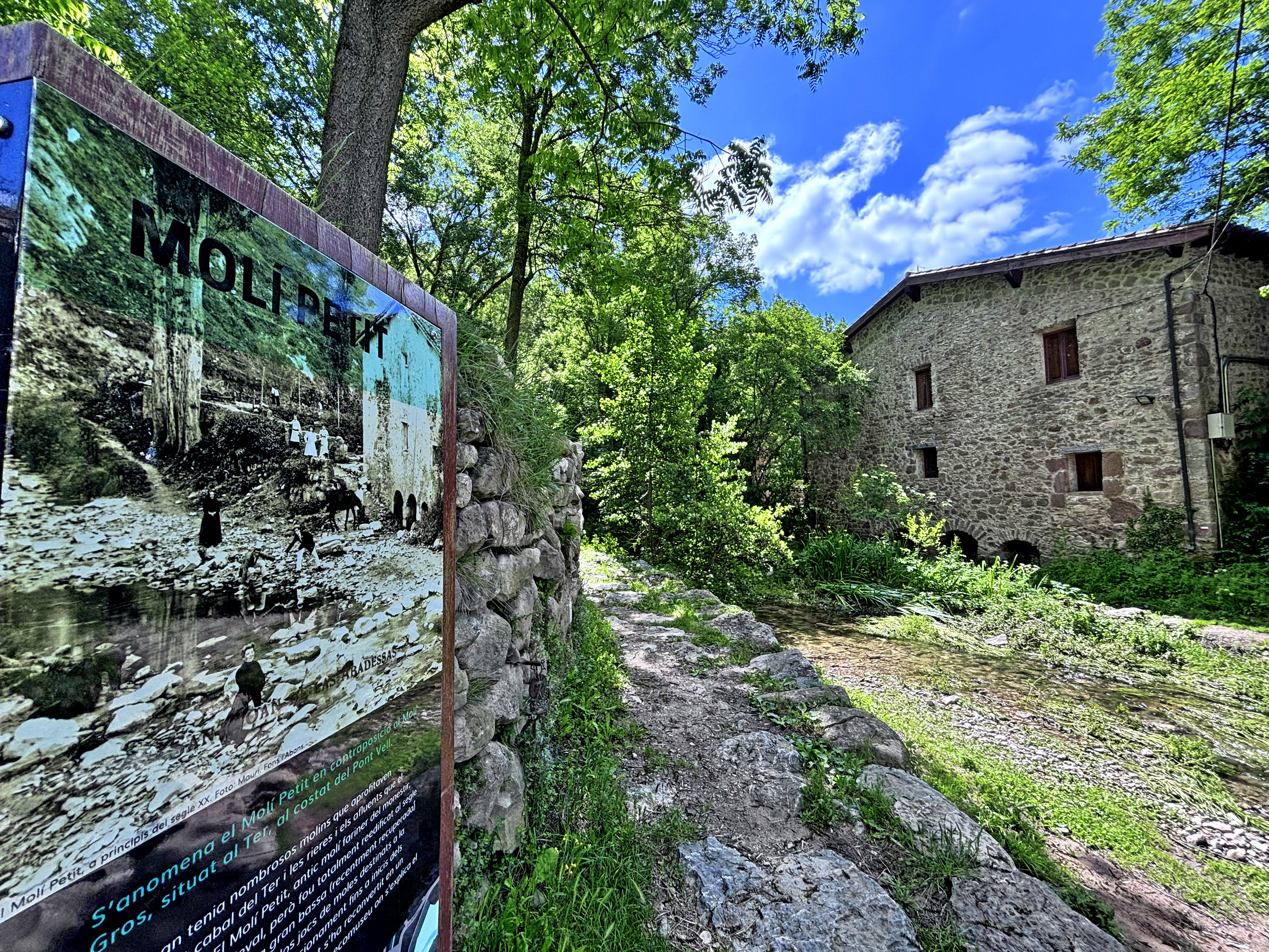Sant Joan de les Abadesses - Molí Petit