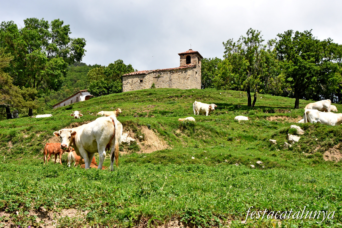 Sant Joan de les Abadesses - Santa Magdalena de Perella
