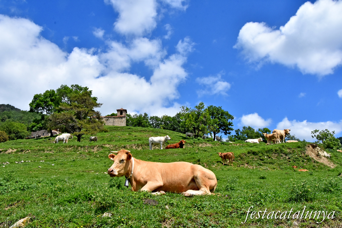 Sant Joan de les Abadesses - Santa Magdalena de Perella