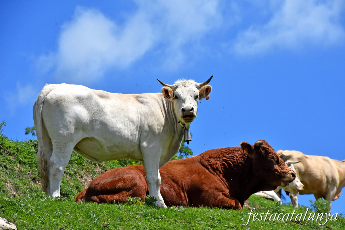 Sant Joan de les Abadesses - Santa Magdalena de Perella