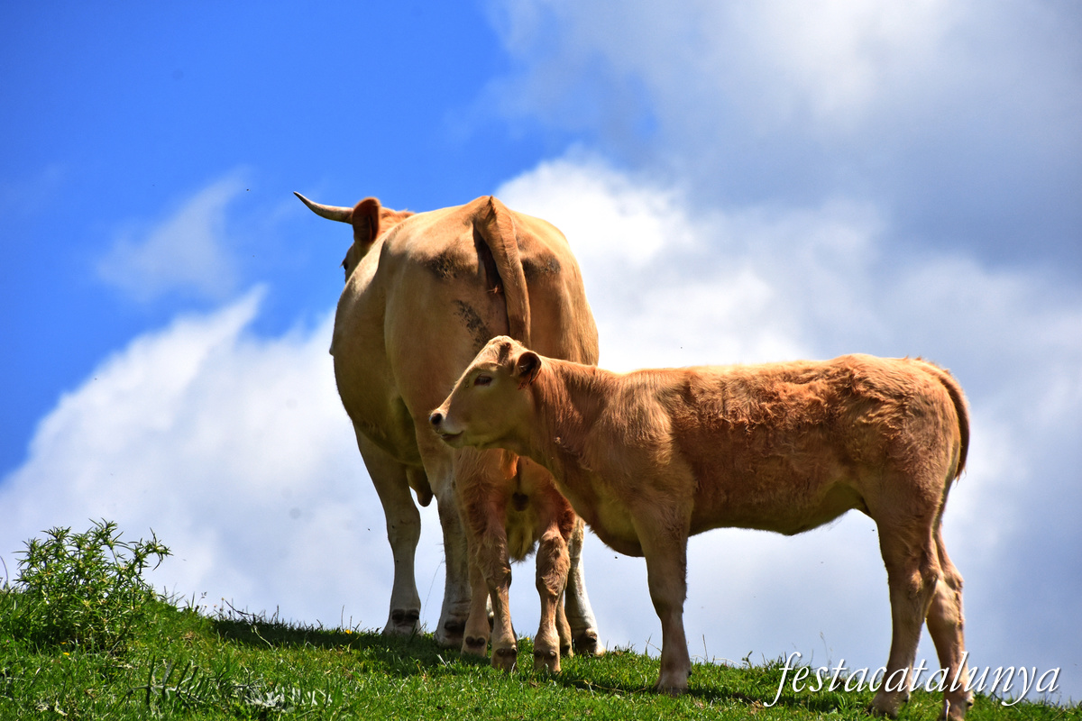 Sant Joan de les Abadesses - Santa Magdalena de Perella