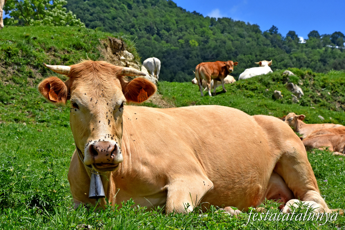 Sant Joan de les Abadesses - Santa Magdalena de Perella
