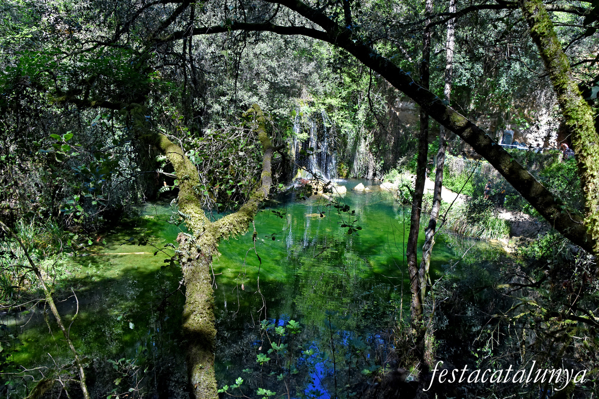 Les Planes d'Hostoles - Gorgues