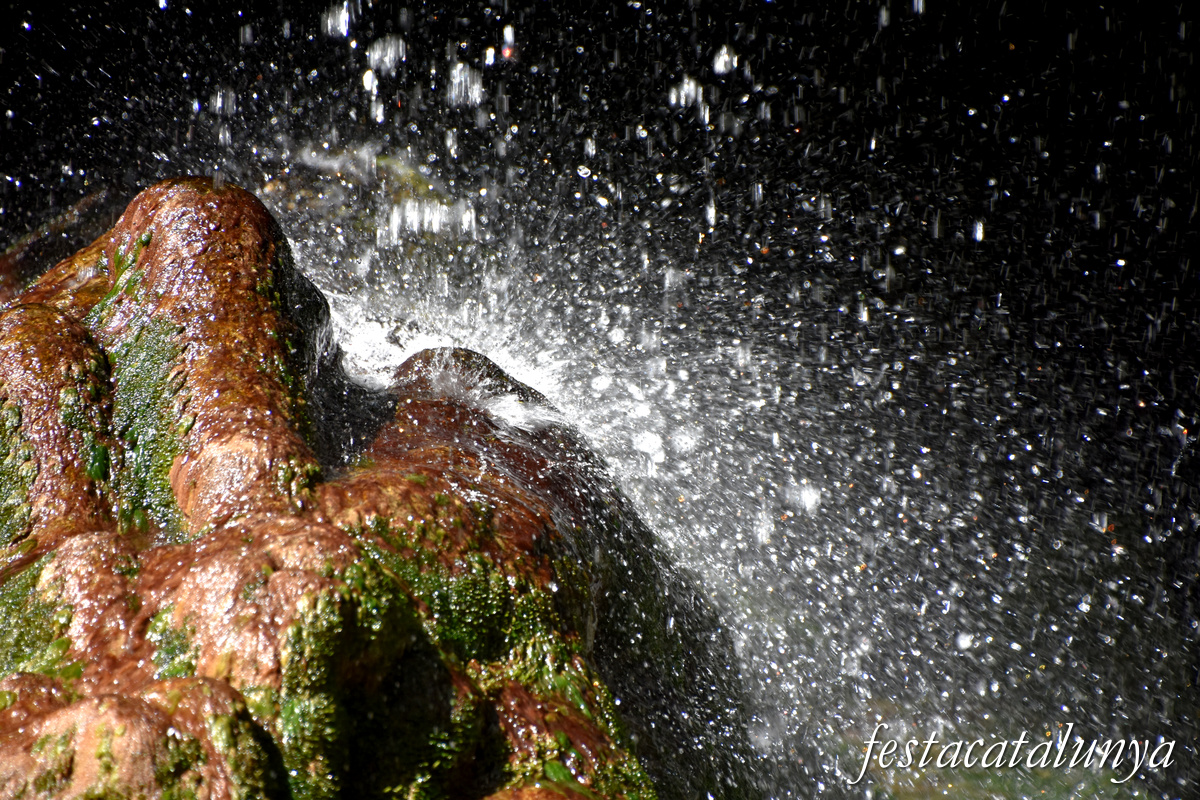 Les Planes d'Hostoles - Gorgues