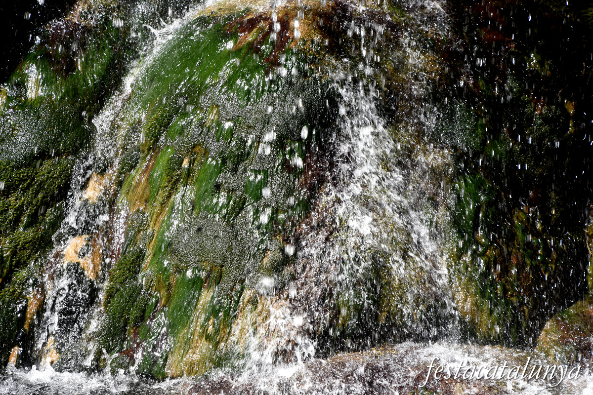 Les Planes d'Hostoles - Gorgues