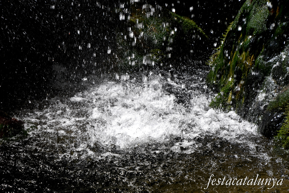 Les Planes d'Hostoles - Gorgues