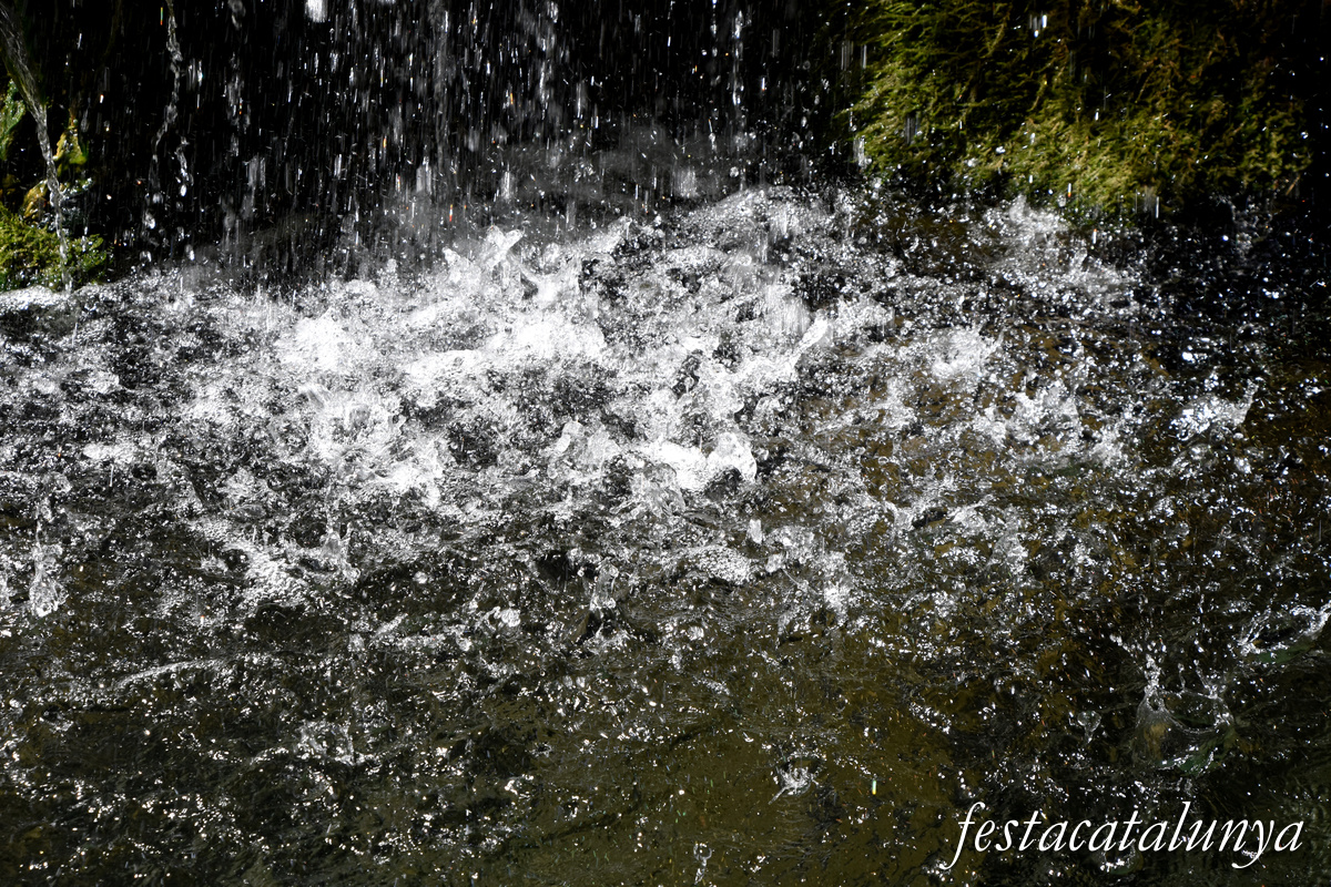 Les Planes d'Hostoles - Gorgues