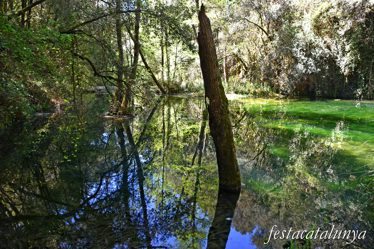 Les Planes d'Hostoles - Gorgues 