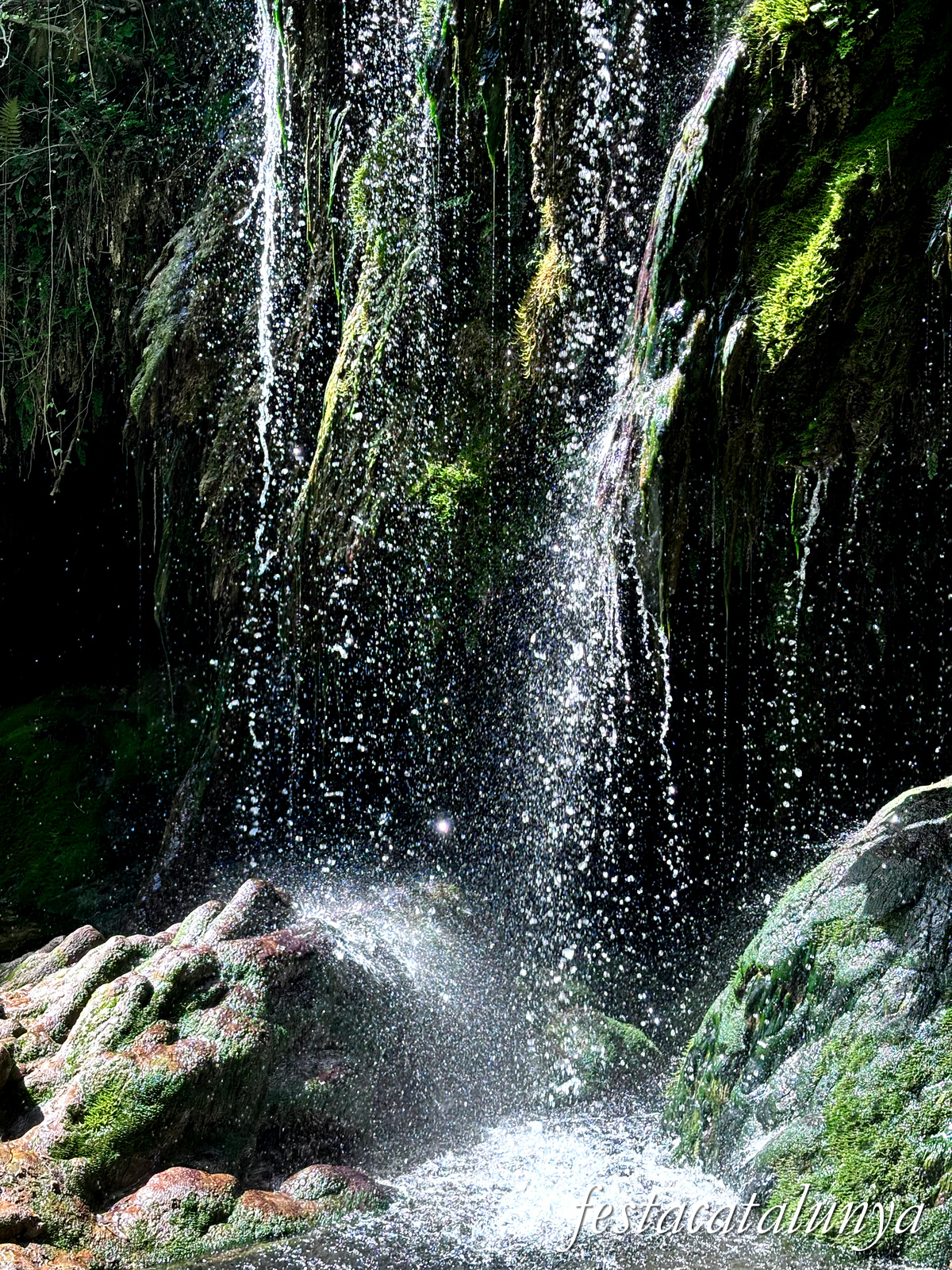 Les Planes d'Hostoles - Gorgues 