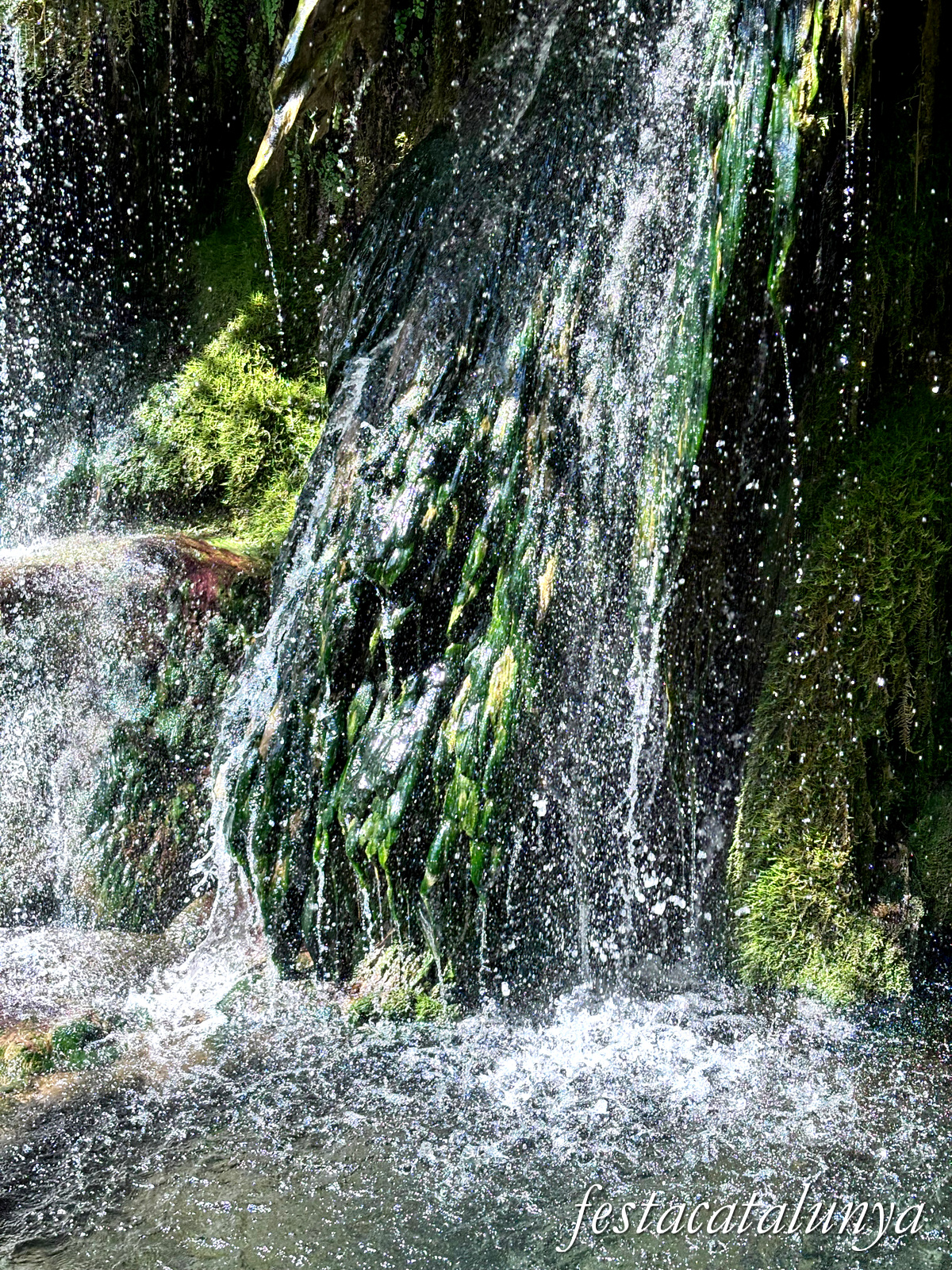 Les Planes d'Hostoles - Gorgues