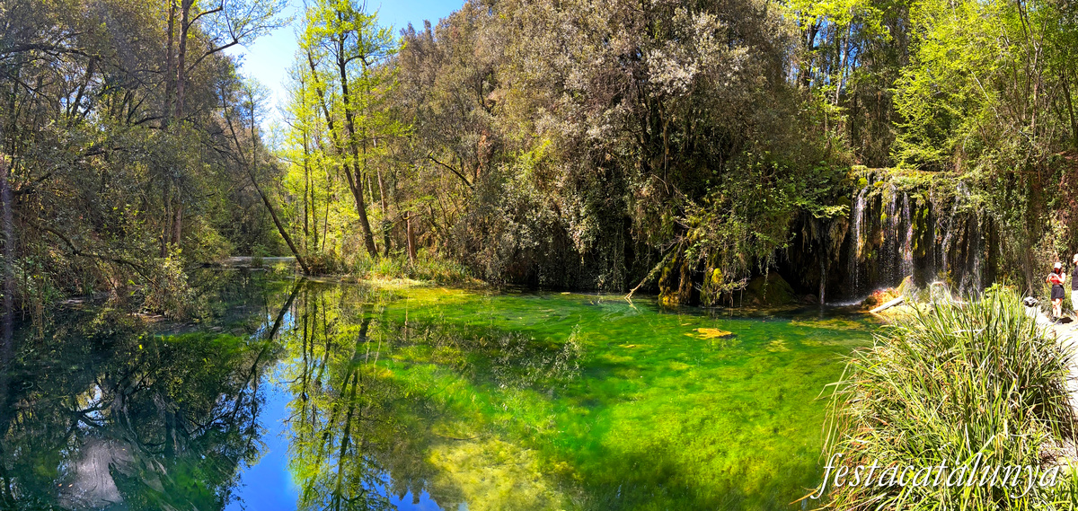 Les Planes d'Hostoles - Gorgues