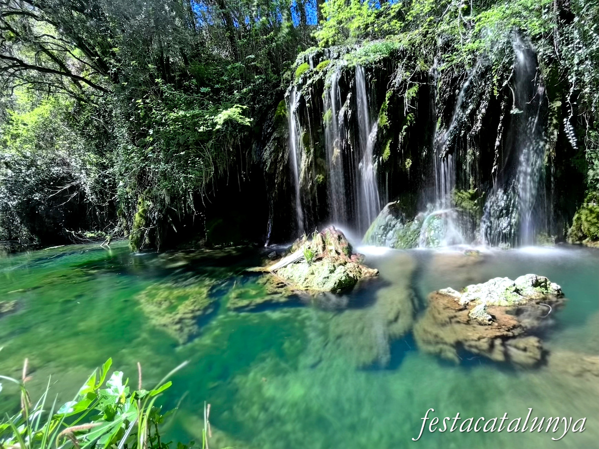 Les Planes d'Hostoles - Gorgues 