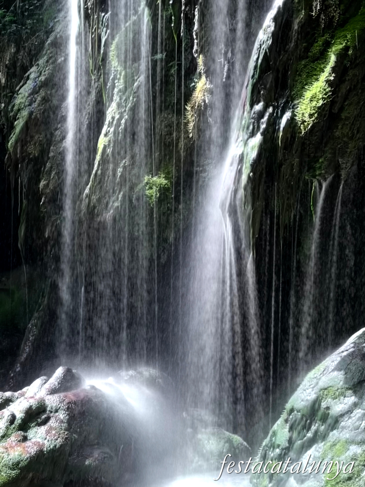 Les Planes d'Hostoles - Gorgues