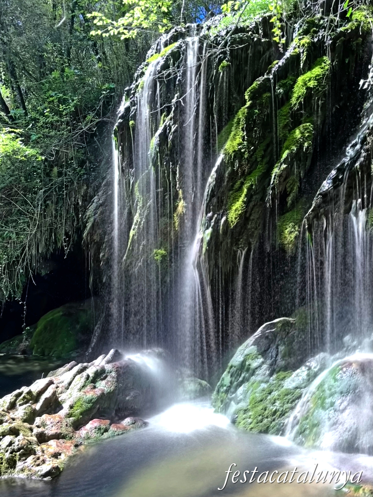 Les Planes d'Hostoles - Gorgues 