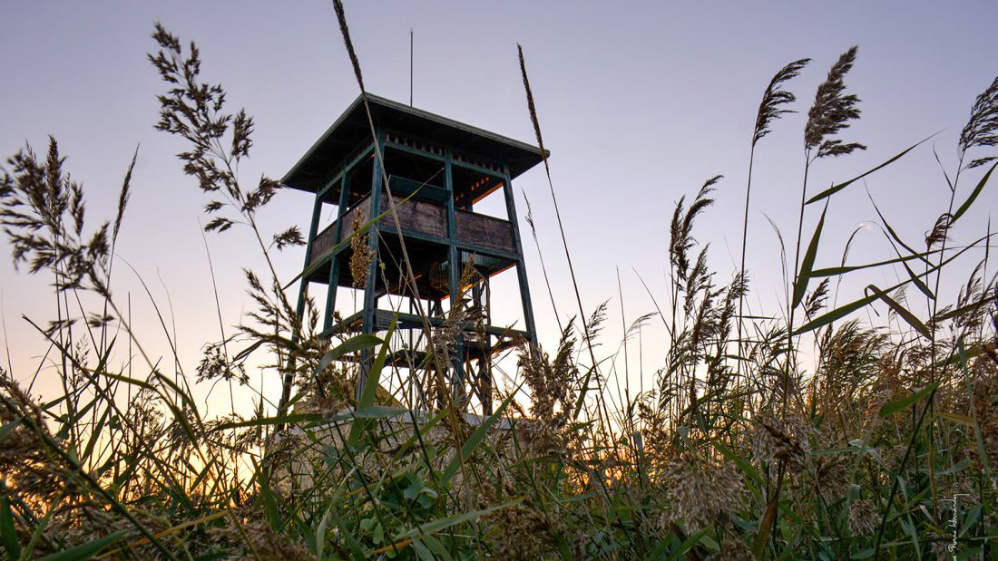 Sant Jaume d'Enveja - Platja de Migjorn (Foto: Ajuntament)
