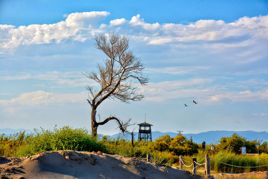 Sant Jaume d'Enveja - Platja de Migjorn (Foto: Ajuntament)