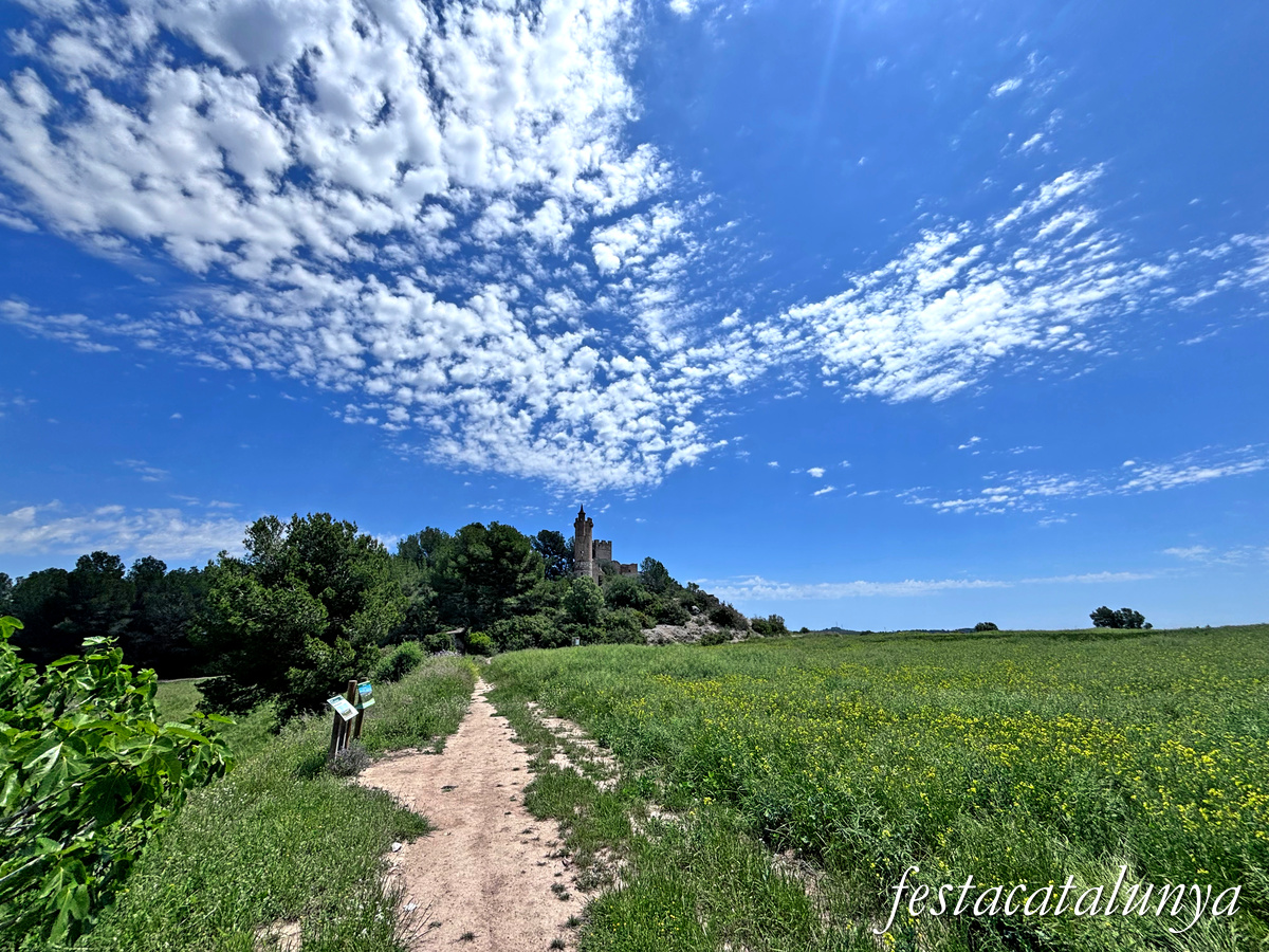 Bellvei - Mas i castell de la Muga 