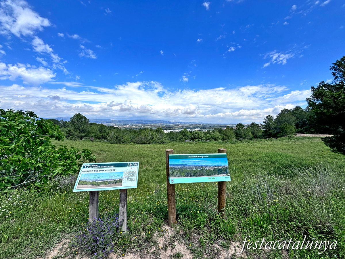 Bellvei - Mirador de la Muga o del Baix Penedès 