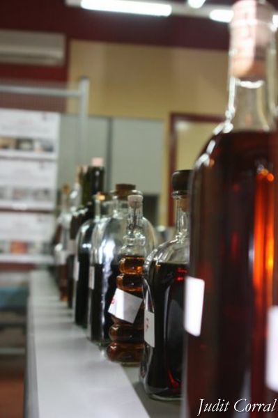 Festa de la Ratafia de l'Anoia a Igualada