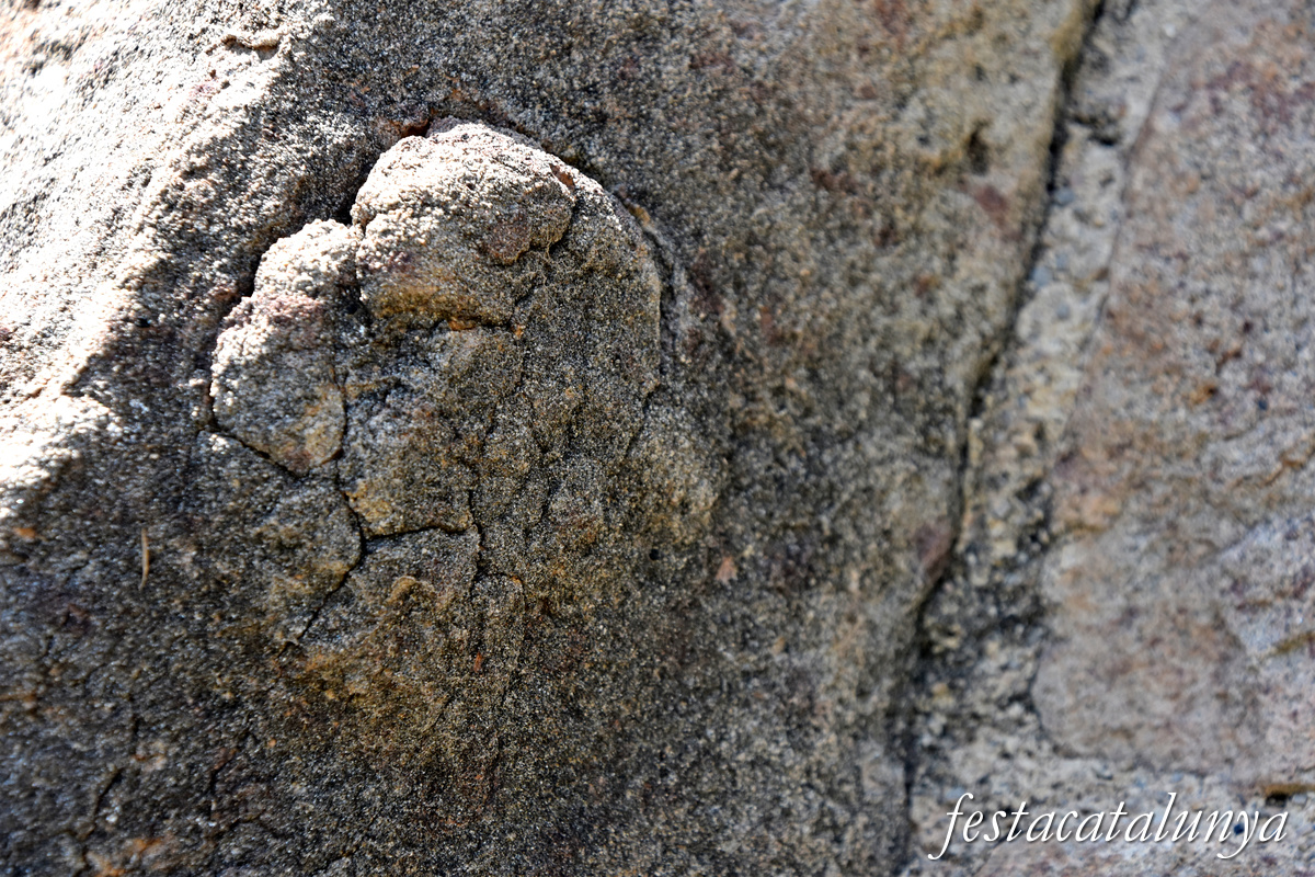 Balsareny - Sant Ramon de Sobirana de Ferrans 