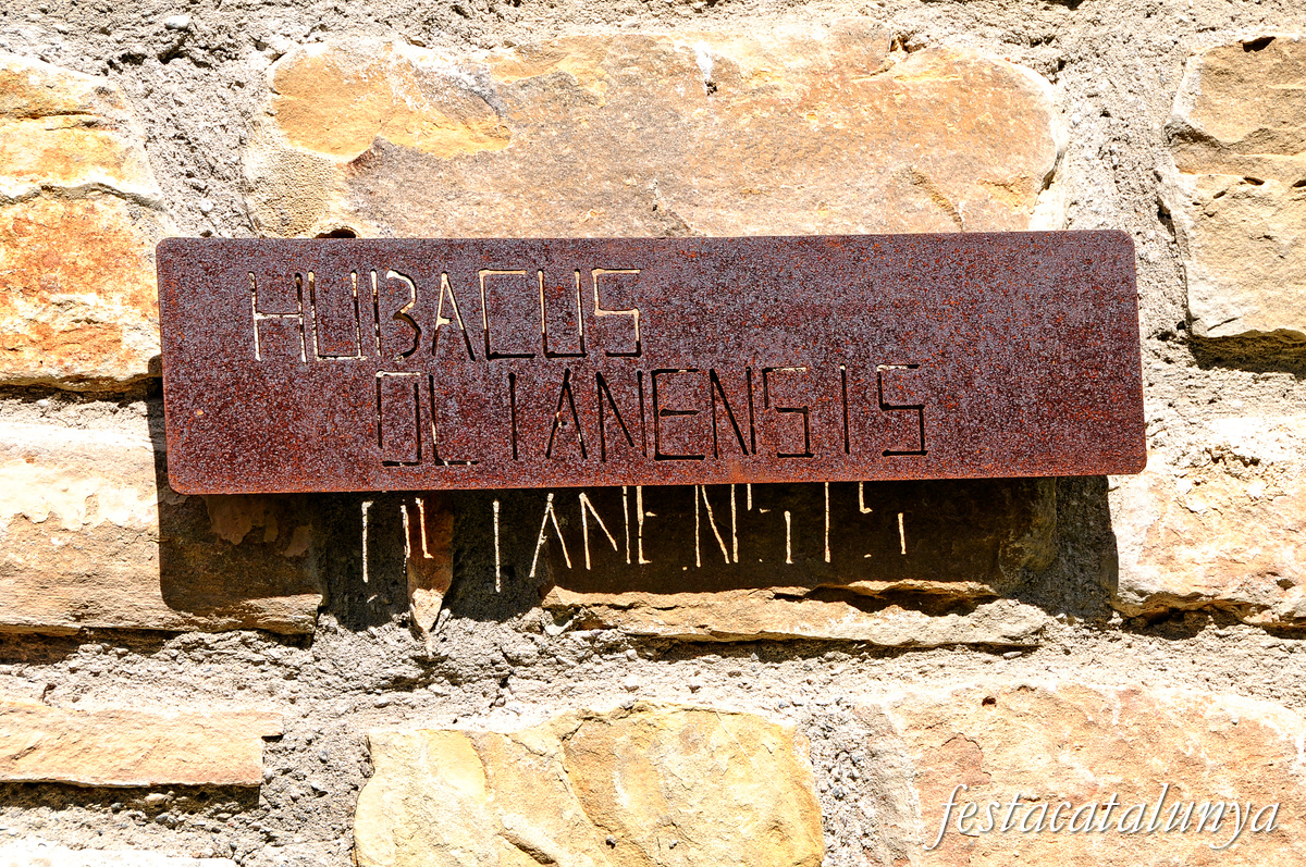 Oliana - Mur de la Memòria Històrica 