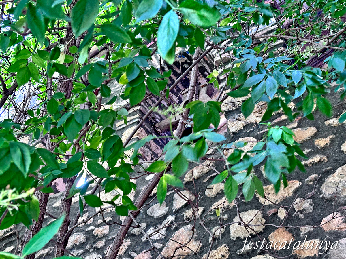 Organyà - Ermita de Sant Martí de Caselles 