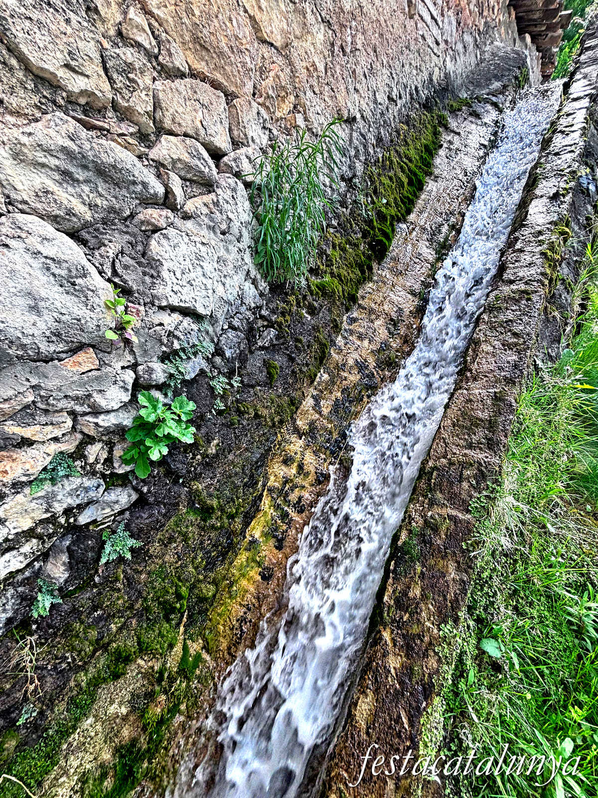 Organyà - Ermita de Sant Martí de Caselles 