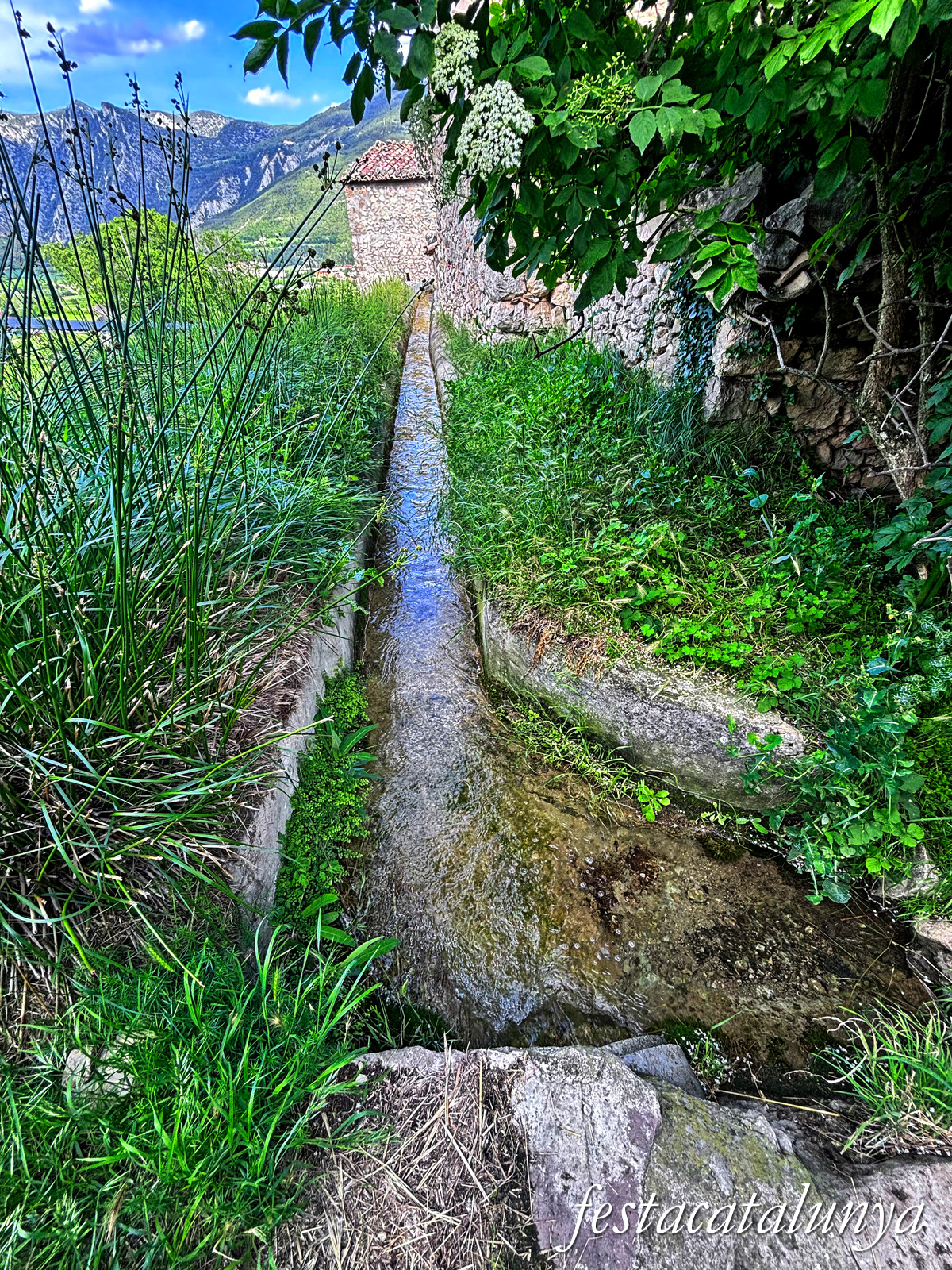 Organyà - Ermita de Sant Martí de Caselles 