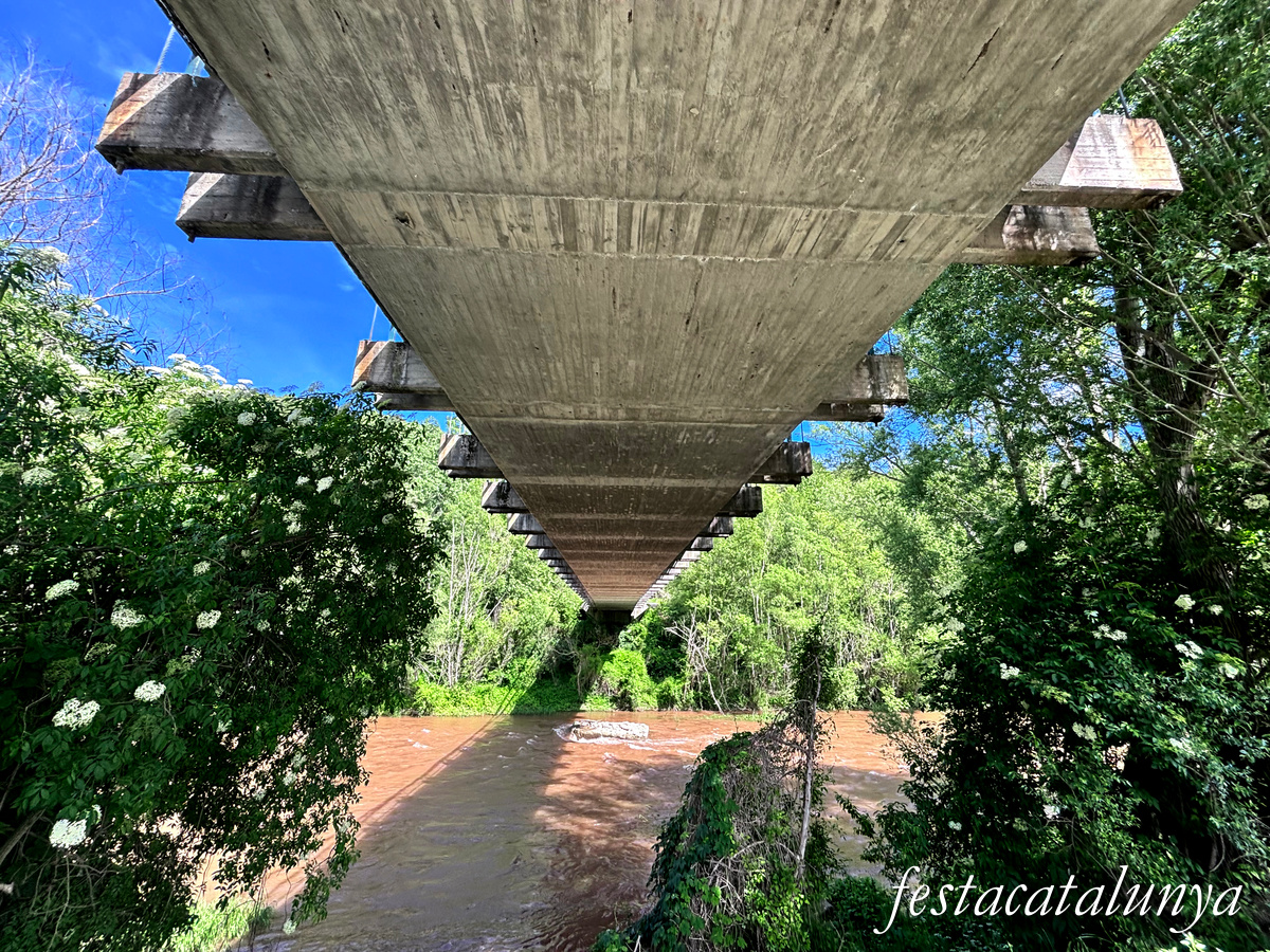 Organyà - Pont penjant de Fígols 