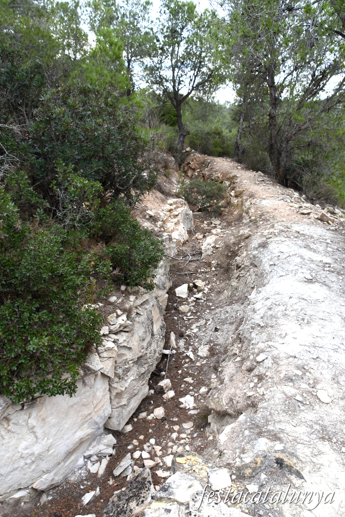 La Pobla de Massaluca - Fortificacions de la Punta del Duc
