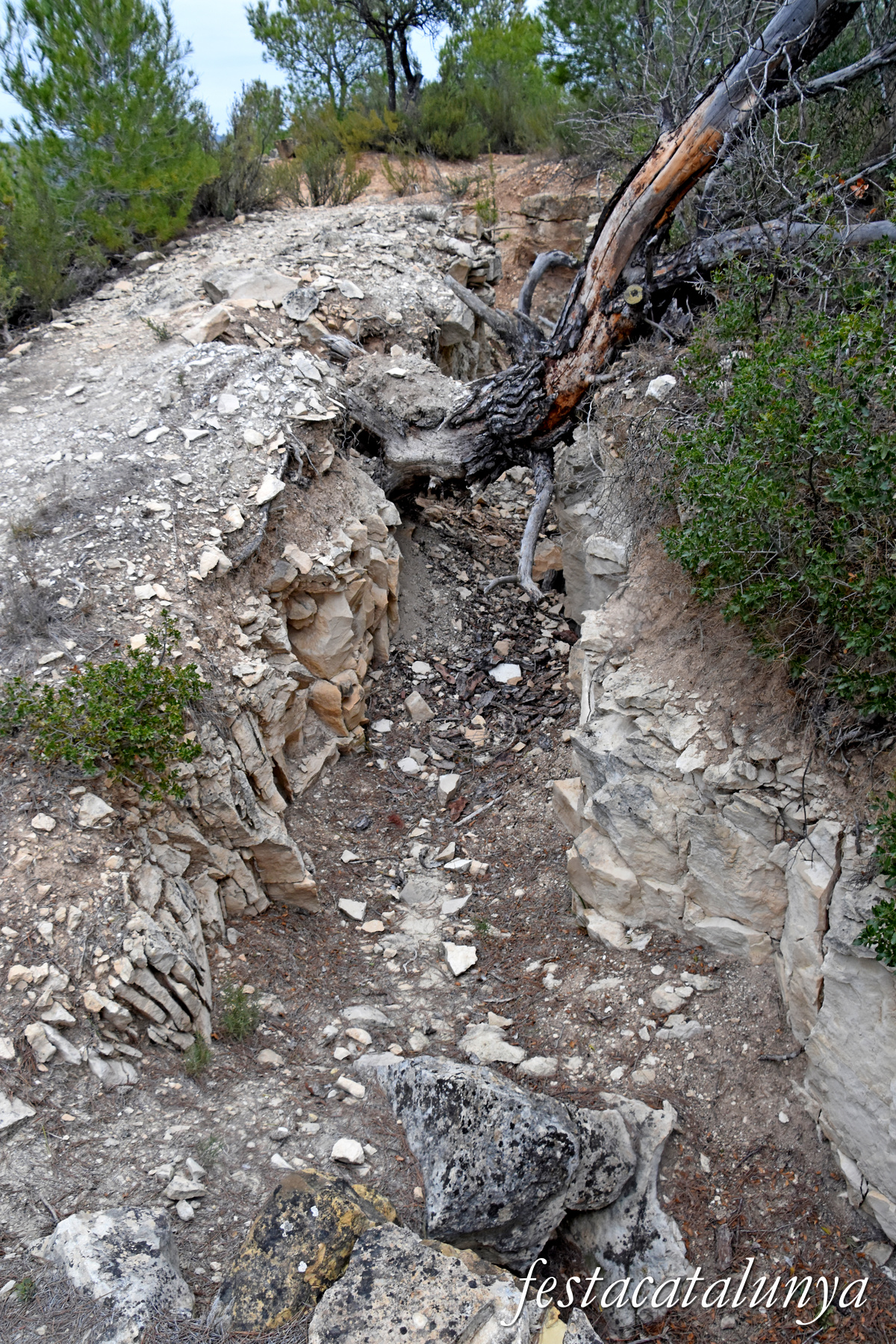 La Pobla de Massaluca - Fortificacions de la Punta del Duc