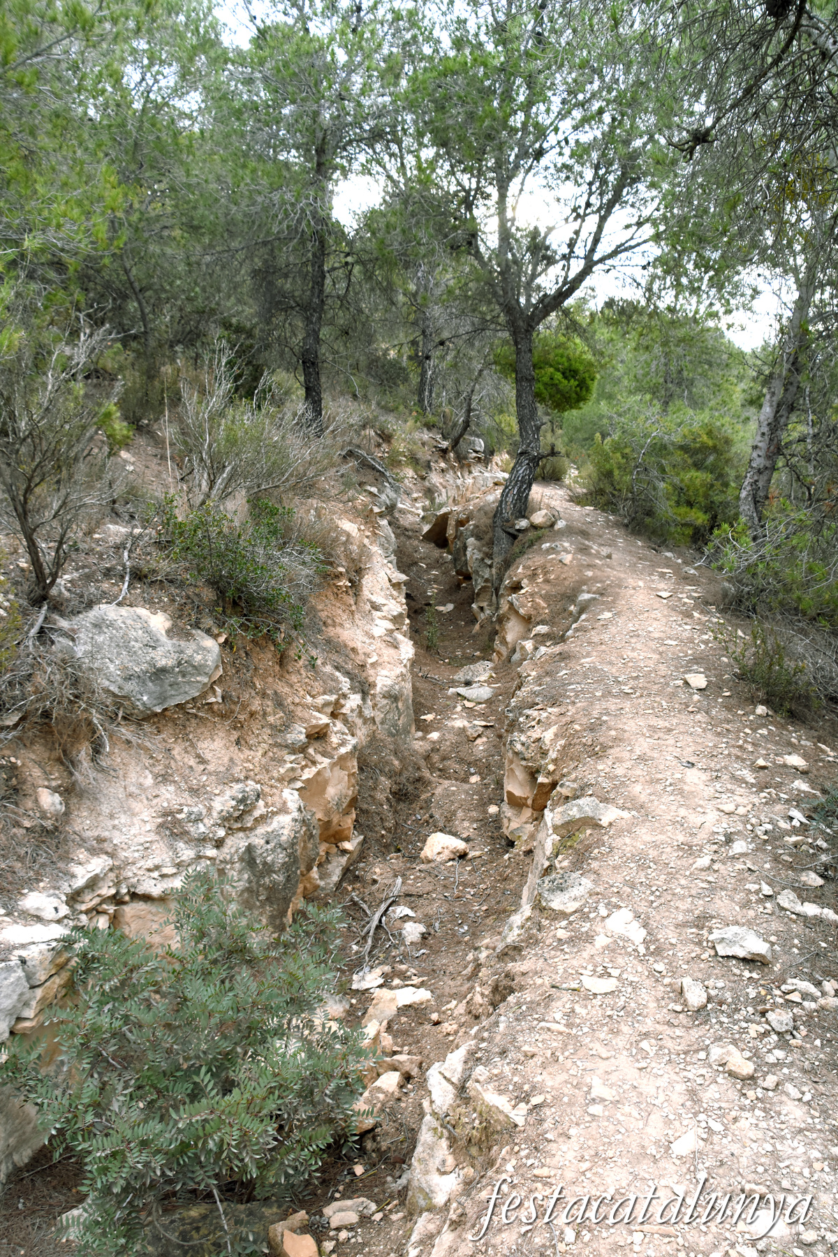 La Pobla de Massaluca - Fortificacions de la Punta del Duc