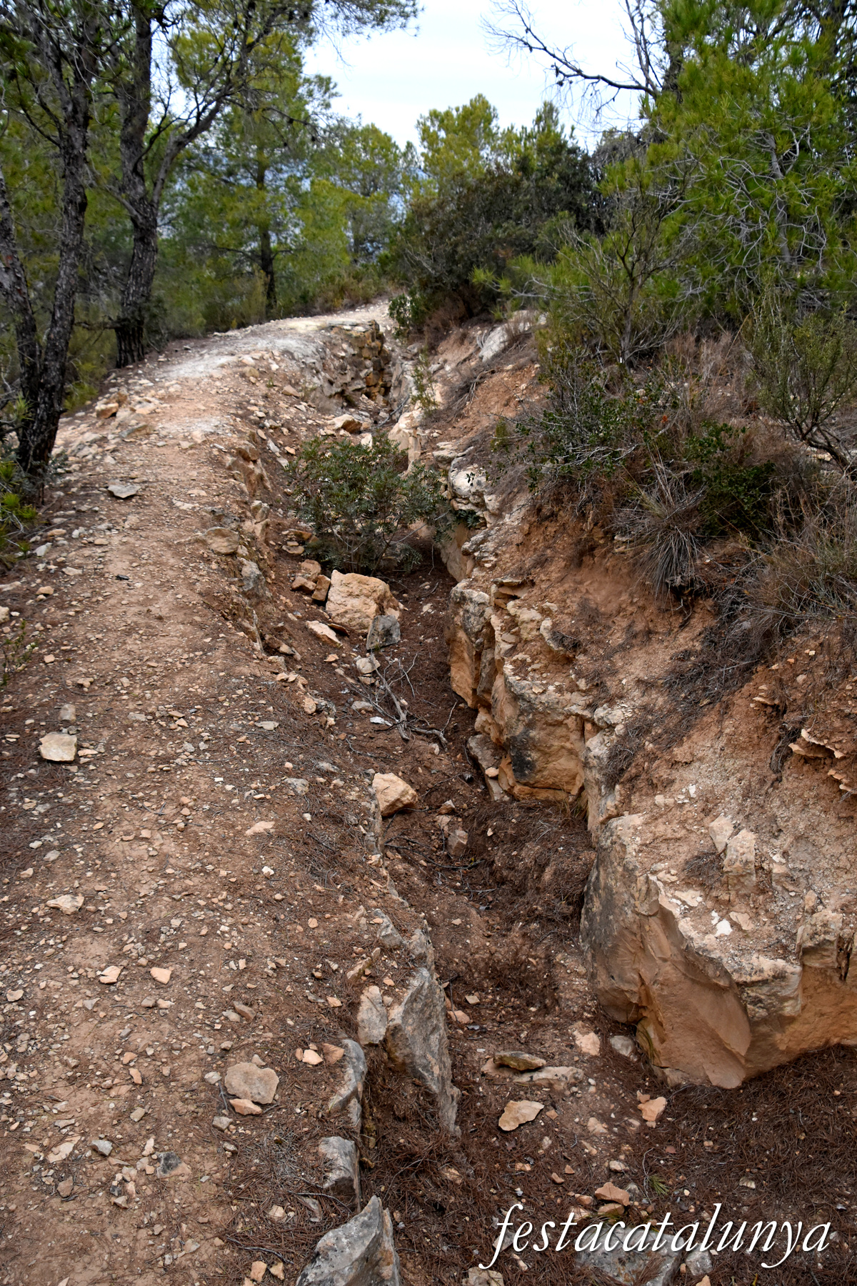 La Pobla de Massaluca - Fortificacions de la Punta del Duc