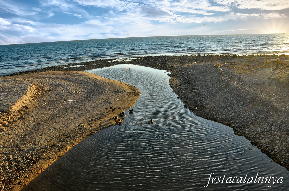 Cambrils - Aiguamolls de la riera de Riudoms