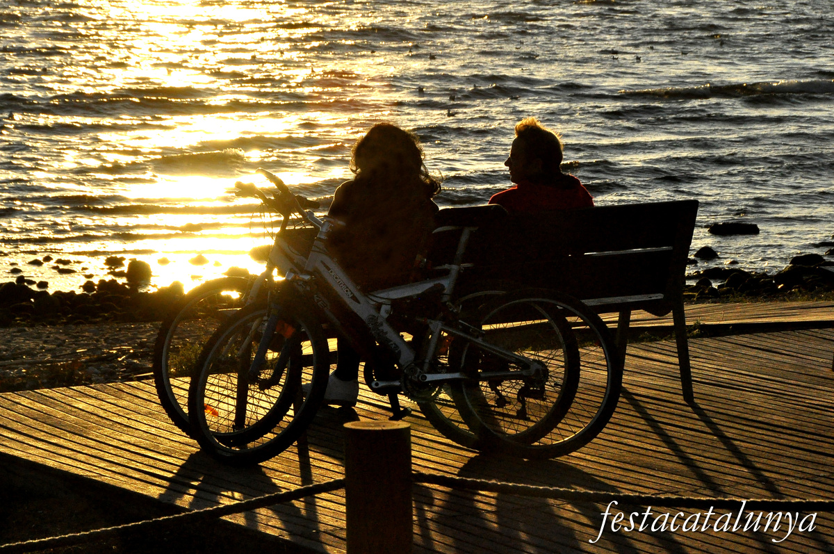 Cambrils - Aiguamolls de la riera de Riudoms