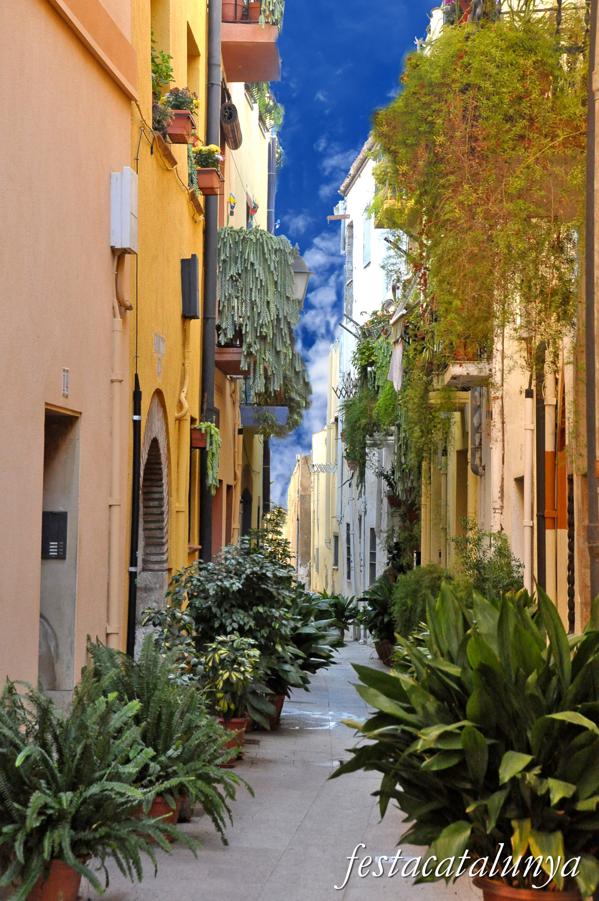 Cambrils - Carrer Lloveras