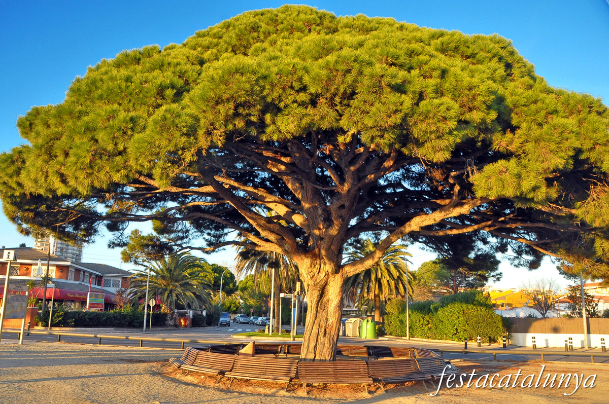 Descobreix Camina Cambrils: Rutes fàcils per gaudir i conèixer indrets ocults del nostre patrimoni