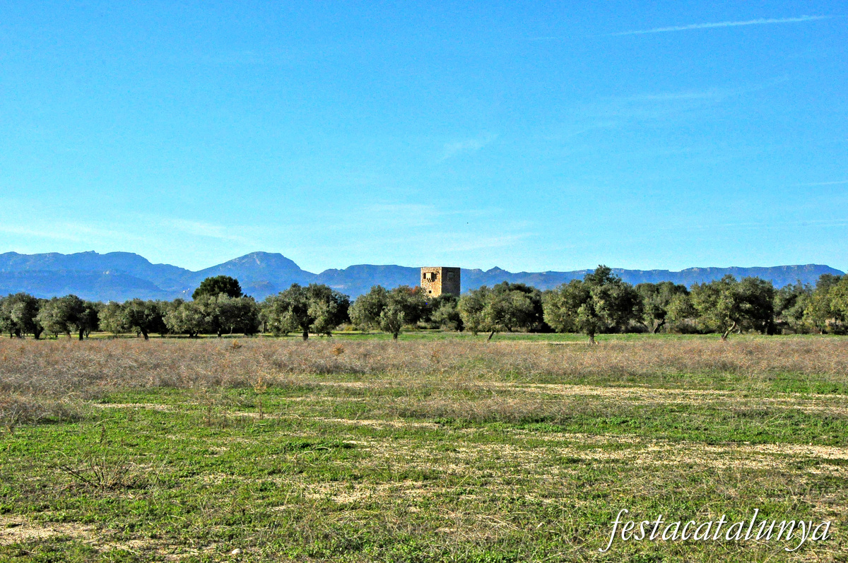 Cambrils - Torre del Mas del Bisbe