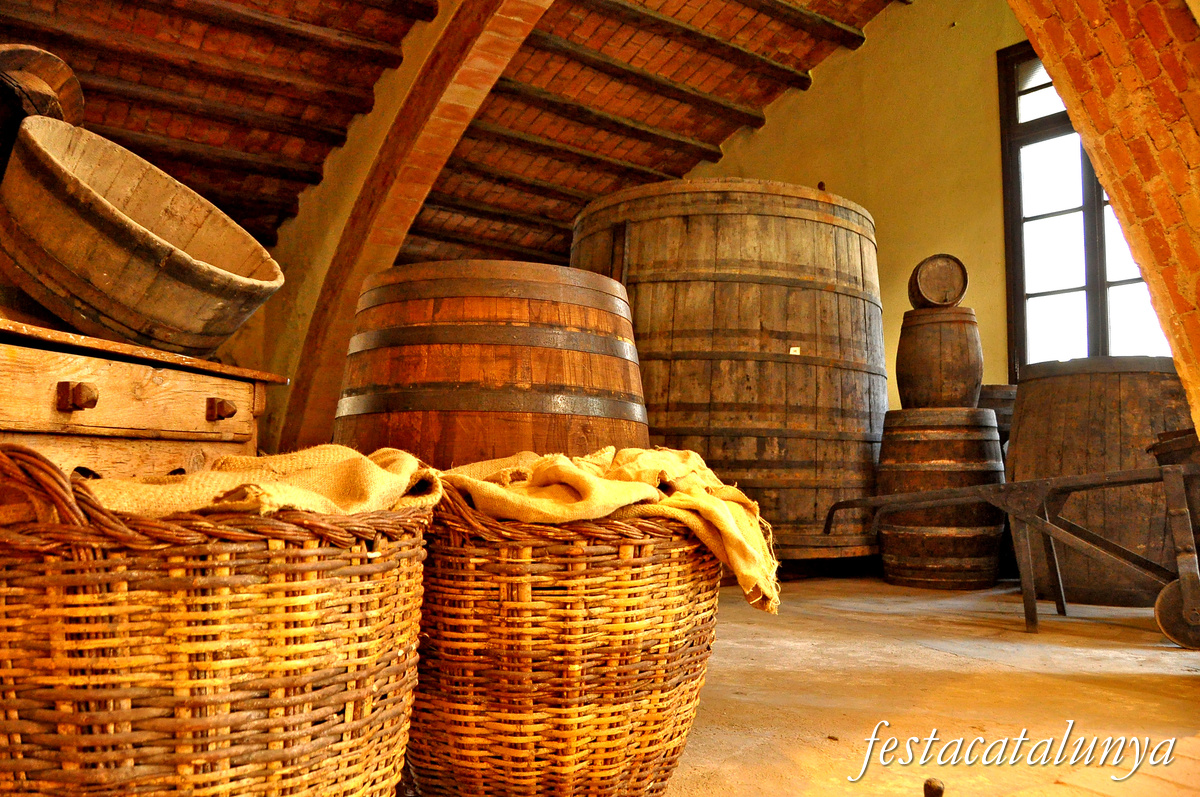 Museu Agrícola a l'antic celler de la Cooperativa de Cambrils