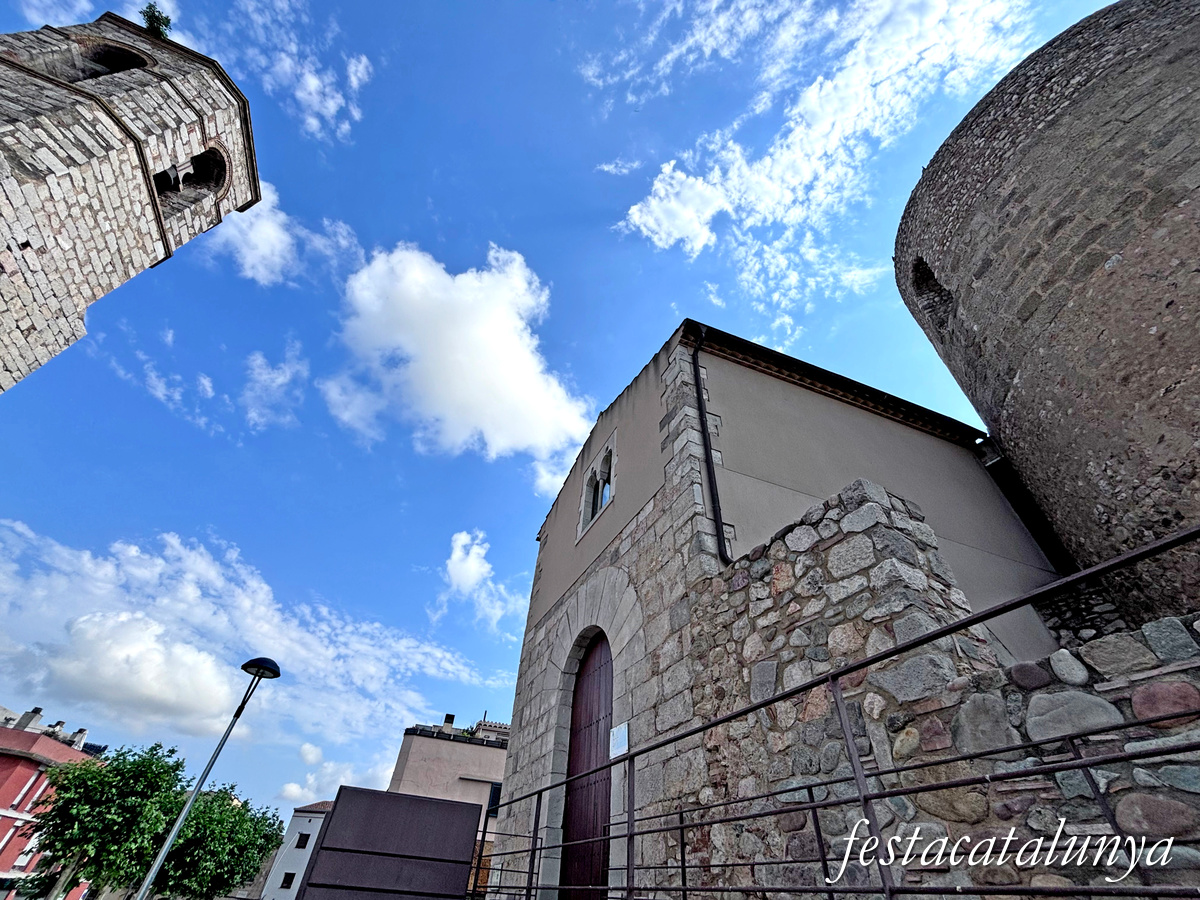 Vila-sacra - Castell-Palau de l'Abat
