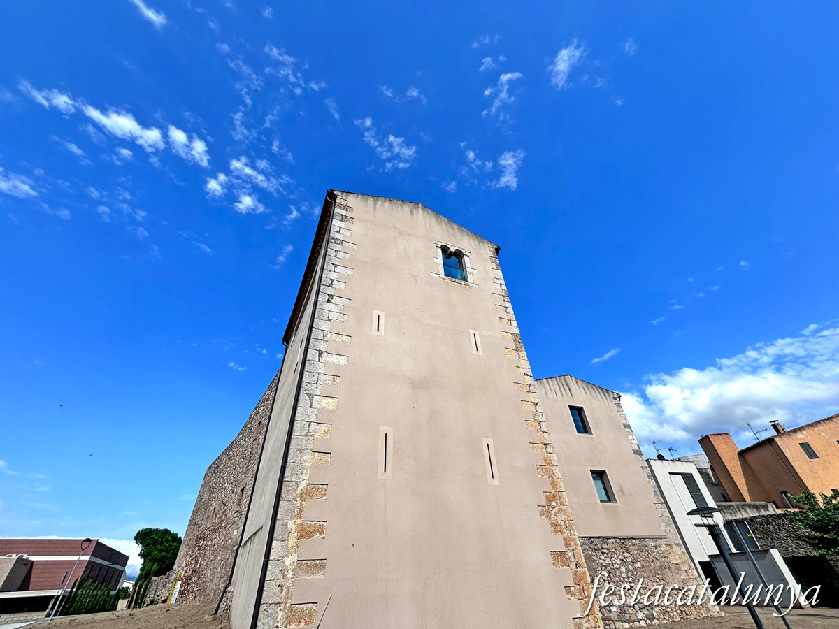 Vila-sacra - Castell-Palau de l'Abat 