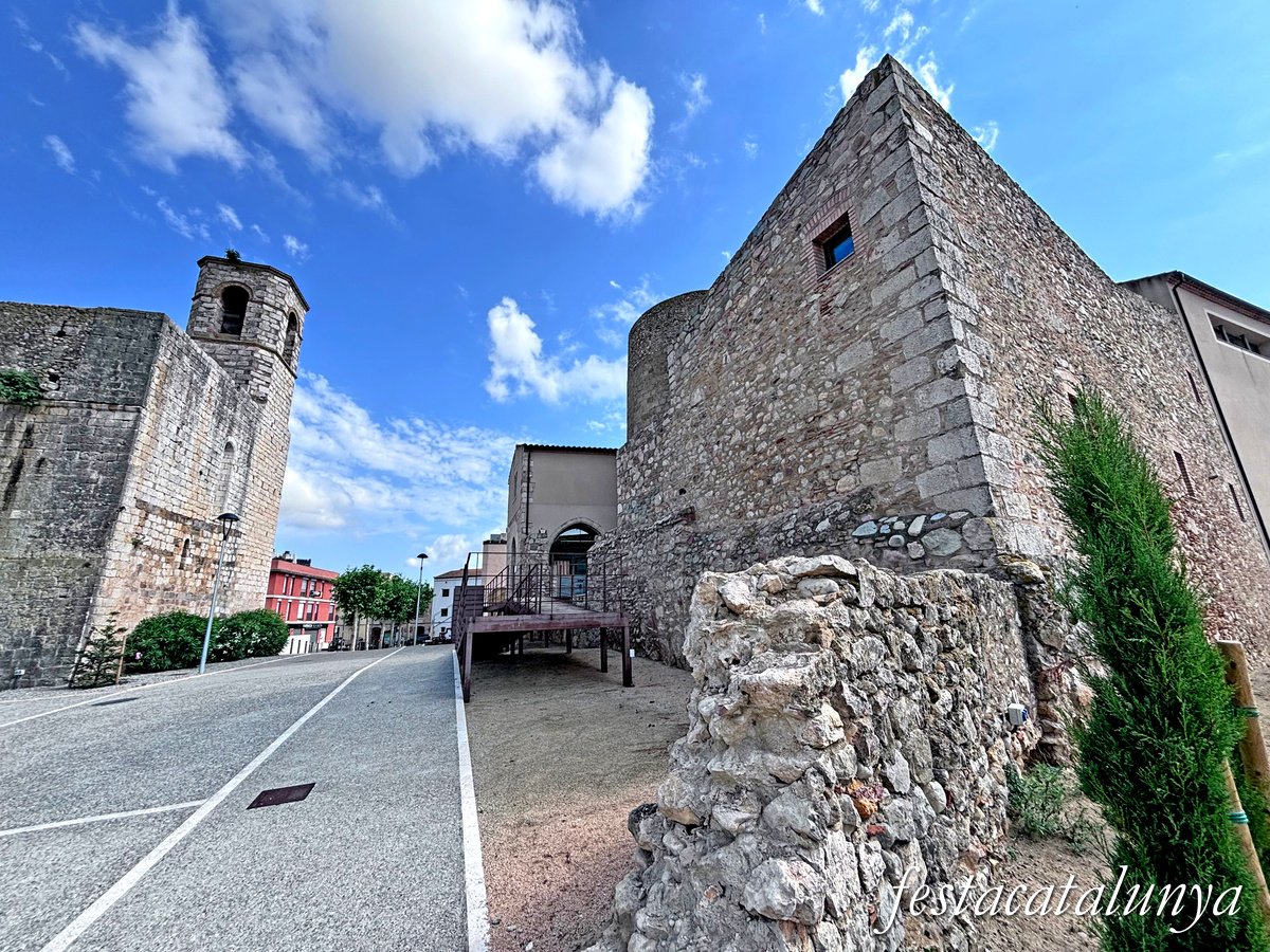 Vila-sacra - Castell-Palau de l'Abat