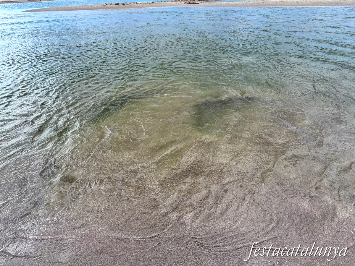 Sant Pere Pescador - La Gola